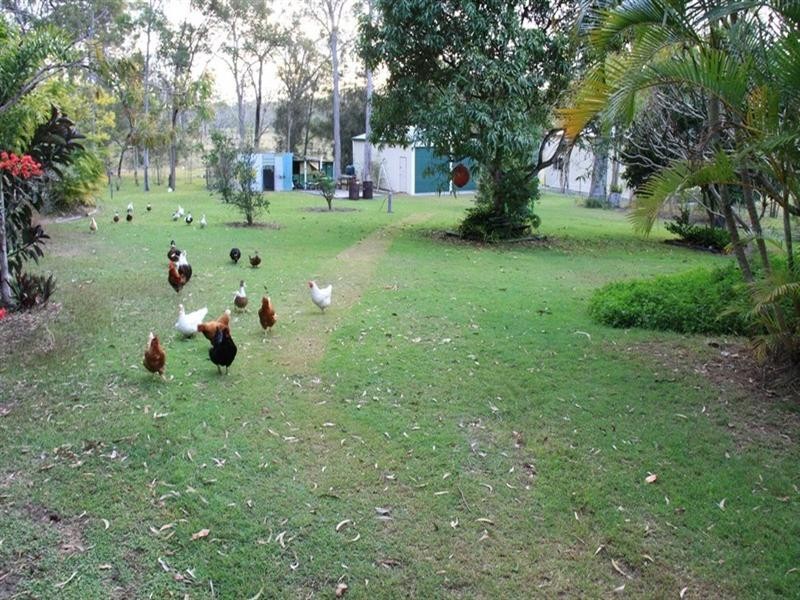 73 Silverton Drive, Tannum Sands QLD 4680