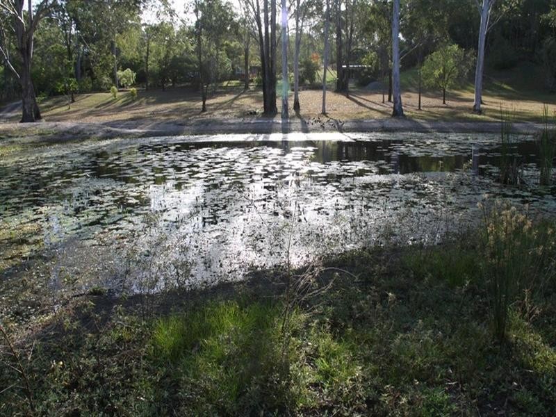 41 Yalkarra Crescent, Wurdong Heights QLD 4680