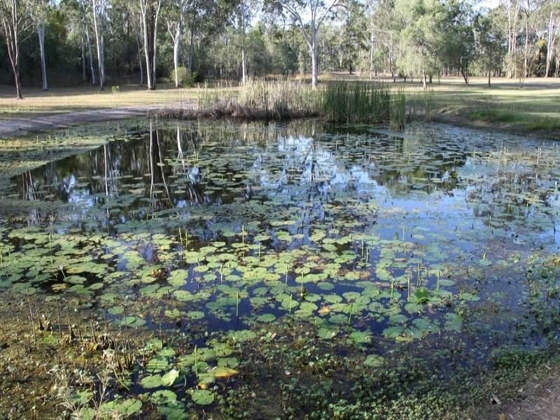 41 Yalkarra Crescent, Wurdong Heights QLD 4680