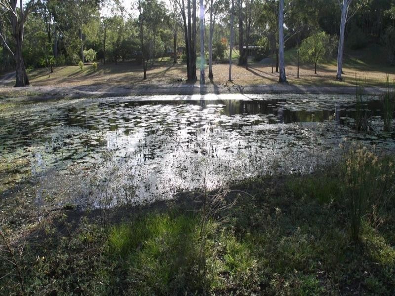 41 Yalkarra Crescent, Wurdong Heights QLD 4680