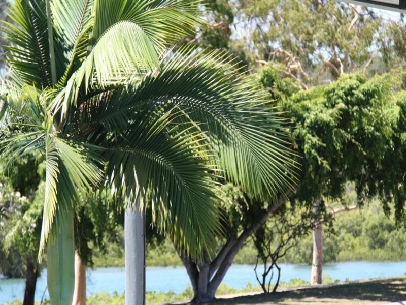 87 Tarcoola Drive, Boyne Island QLD 4680