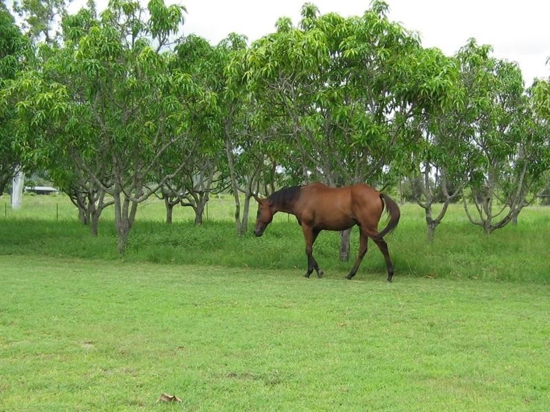 Mount Surround QLD 4809