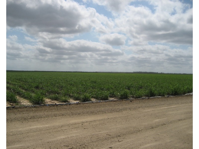 Horseshoe Lagoon QLD 4809