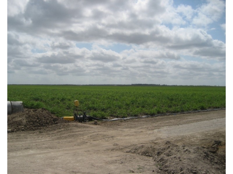 Horseshoe Lagoon QLD 4809