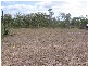 Ayr QLD 4807