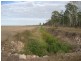 Upper Haughton QLD 4809