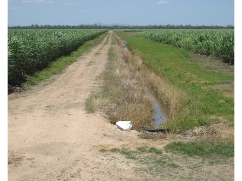 Upper Haughton QLD 4809