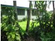 Brandon QLD 4808