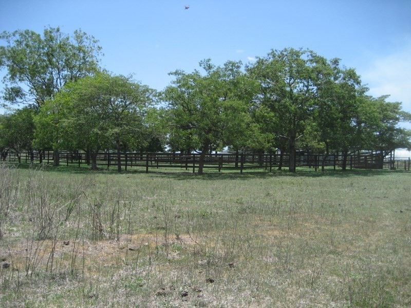 Fredericksfield QLD 4806