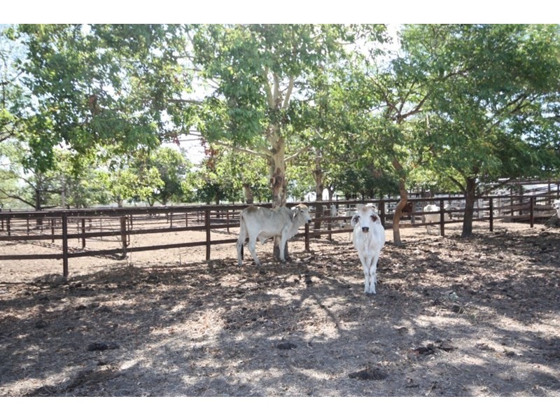 Fredericksfield QLD 4806