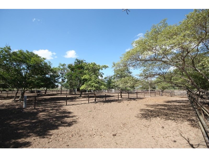 Fredericksfield QLD 4806