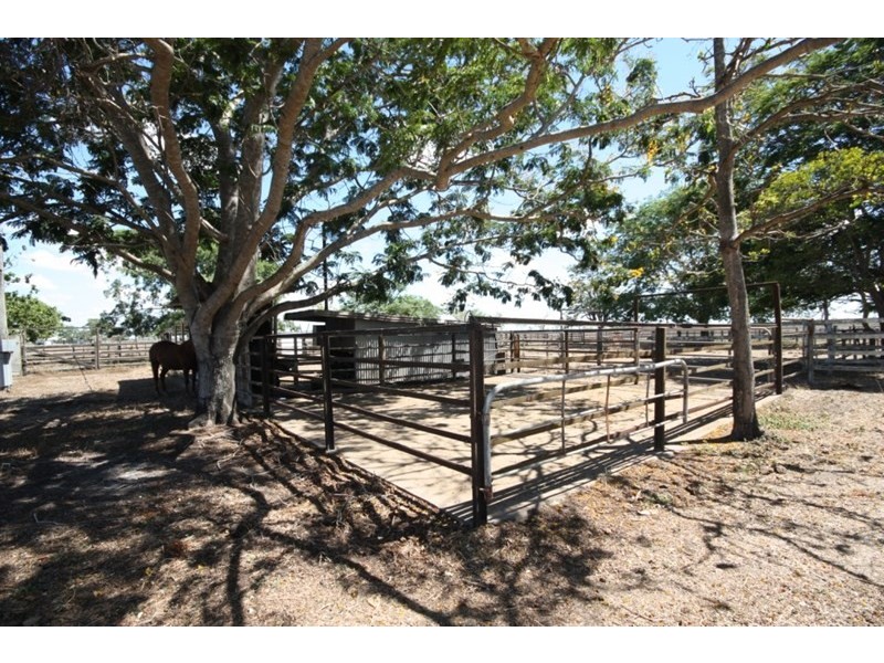 Fredericksfield QLD 4806