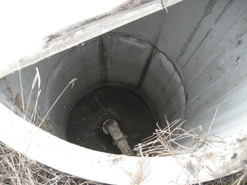 Jarvisfield QLD 4807