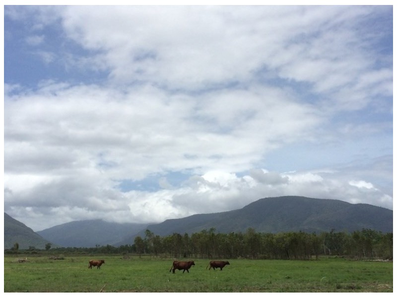 Majors Creek QLD 4816