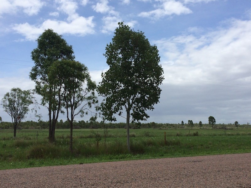 Majors Creek QLD 4816