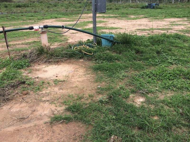 Majors Creek QLD 4816