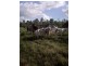 Majors Creek QLD 4816