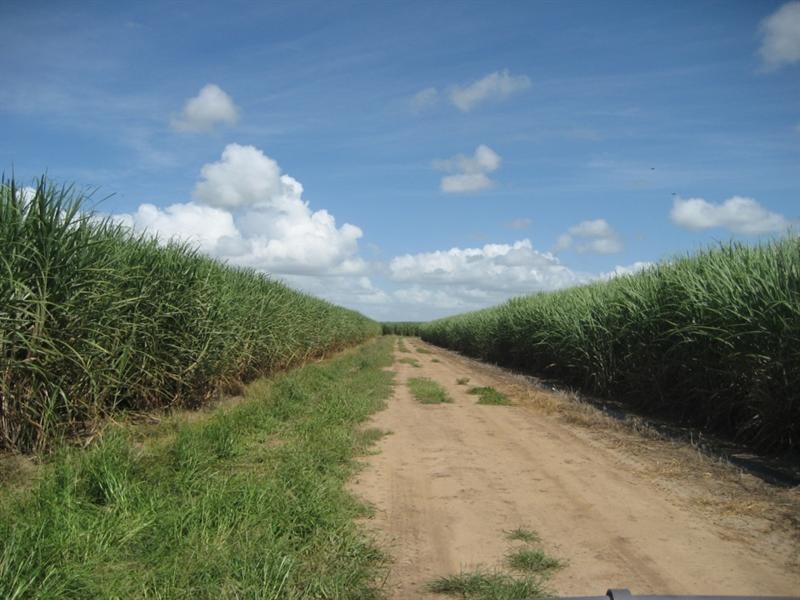 Jarvisfield QLD 4807