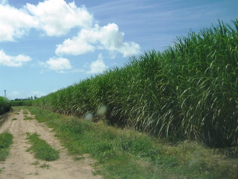 Jarvisfield QLD 4807