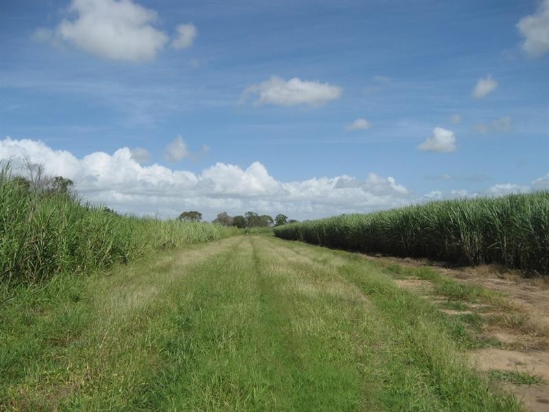 Jarvisfield QLD 4807