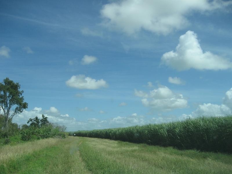 Jarvisfield QLD 4807