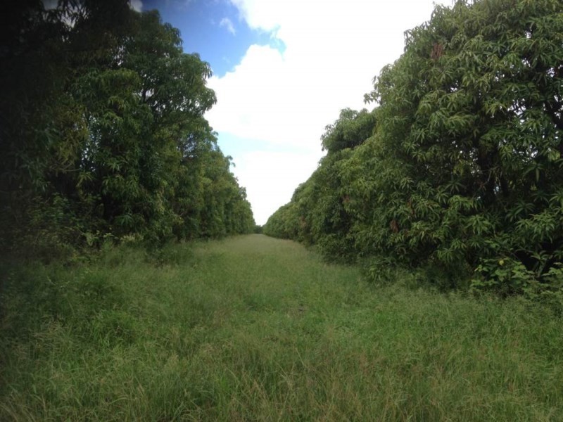 Horseshoe Lagoon QLD 4809