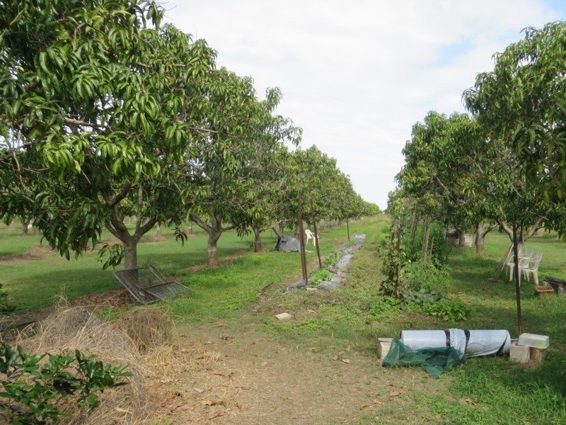 Horseshoe Lagoon QLD 4809