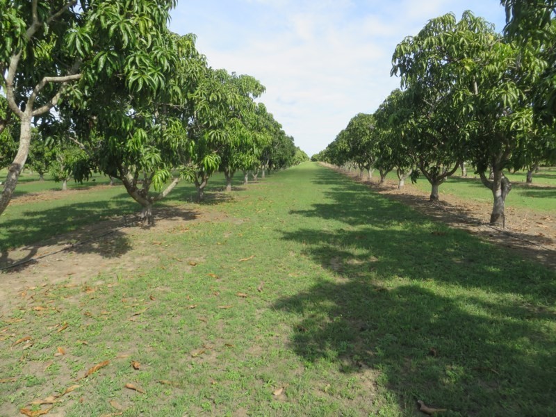 Horseshoe Lagoon QLD 4809