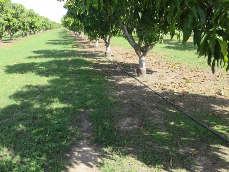 Horseshoe Lagoon QLD 4809