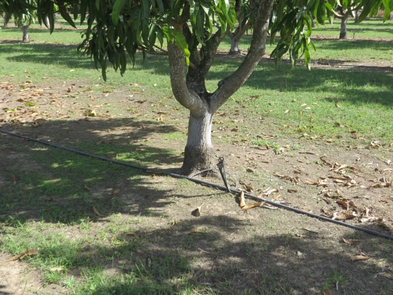 Horseshoe Lagoon QLD 4809