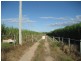Shirbourne QLD 4809