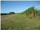 Shirbourne QLD 4809