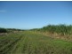 Shirbourne QLD 4809