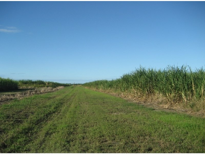 Shirbourne QLD 4809