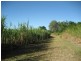 Shirbourne QLD 4809