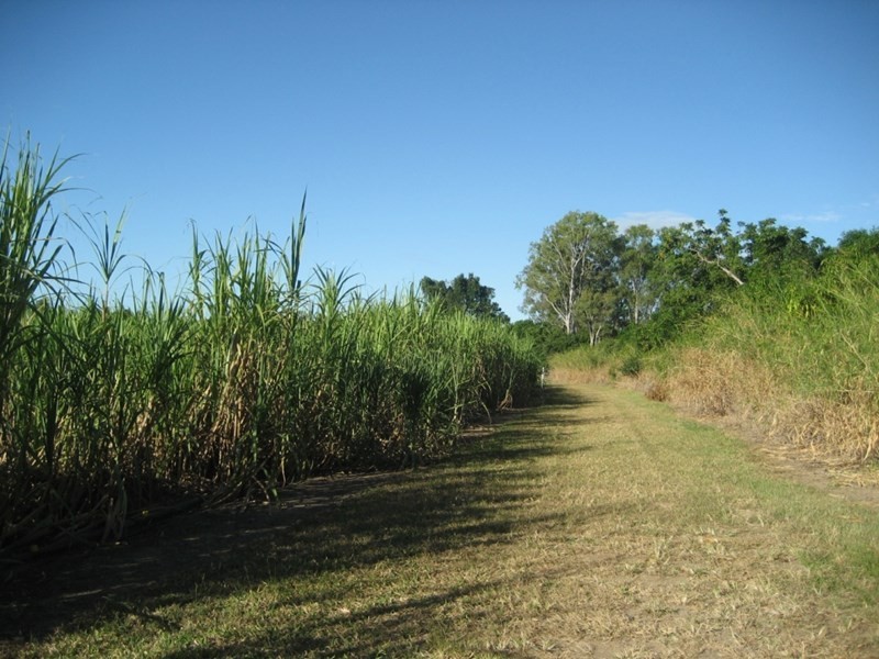 Shirbourne QLD 4809