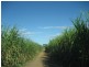 Shirbourne QLD 4809