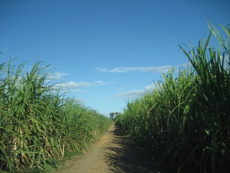 Shirbourne QLD 4809