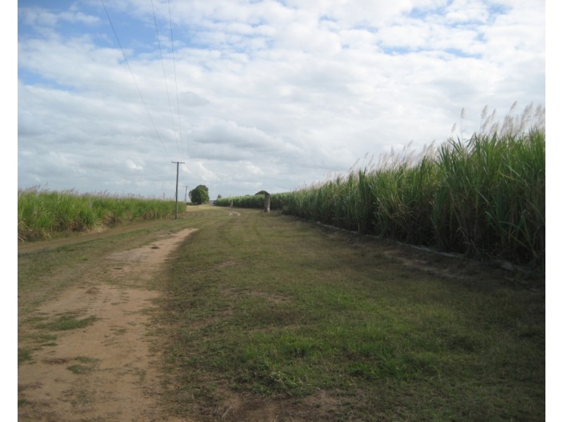 Colevale QLD 4808