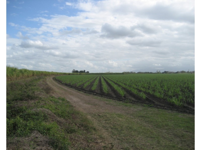 Colevale QLD 4808