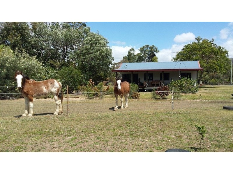 Mount Surround QLD 4809