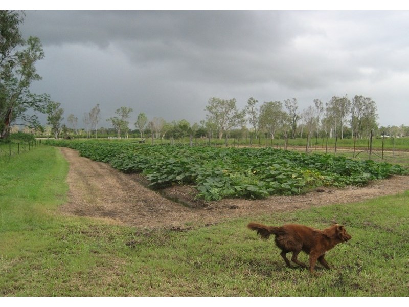 Mount Surround QLD 4809