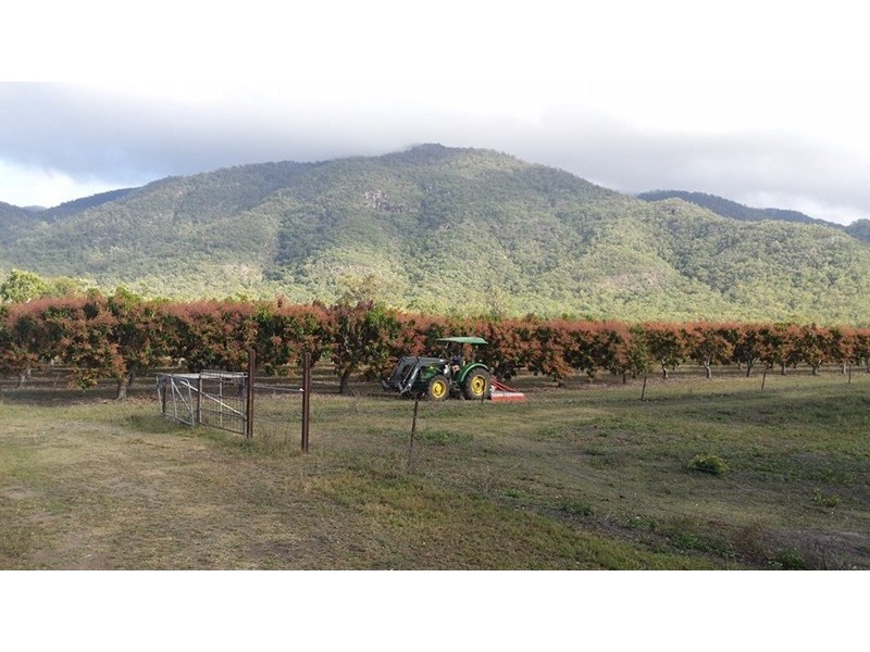 Mount Surround QLD 4809