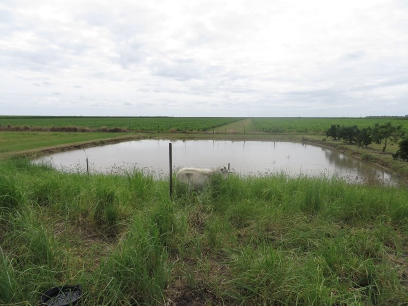 135 Bartlett Road, Horseshoe Lagoon QLD 4809