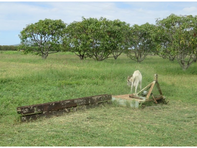 135 Bartlett Road, Horseshoe Lagoon QLD 4809