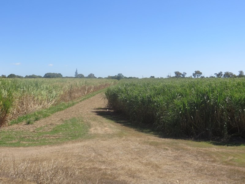 Rita Island QLD 4807