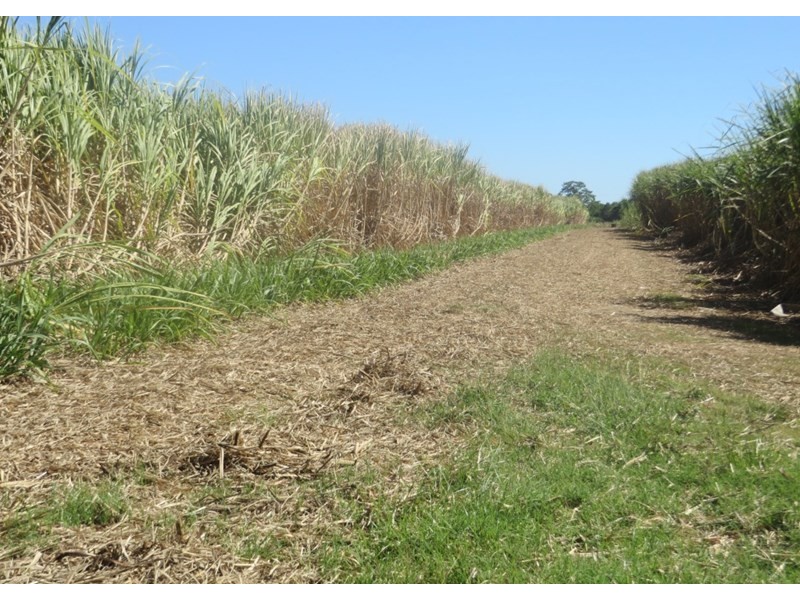 Rita Island QLD 4807