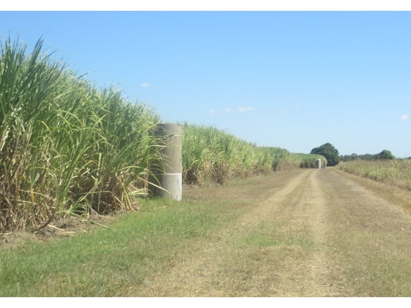 Rita Island QLD 4807