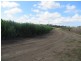 Jarvisfield QLD 4807