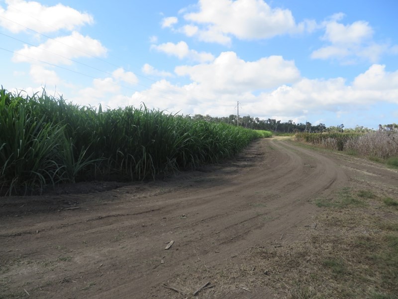 Jarvisfield QLD 4807